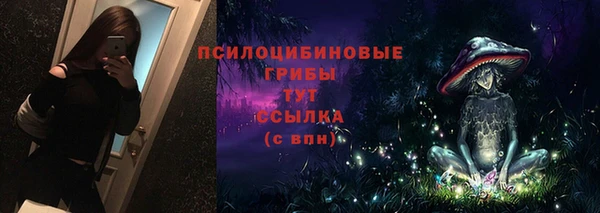 прущий лед Михайловск