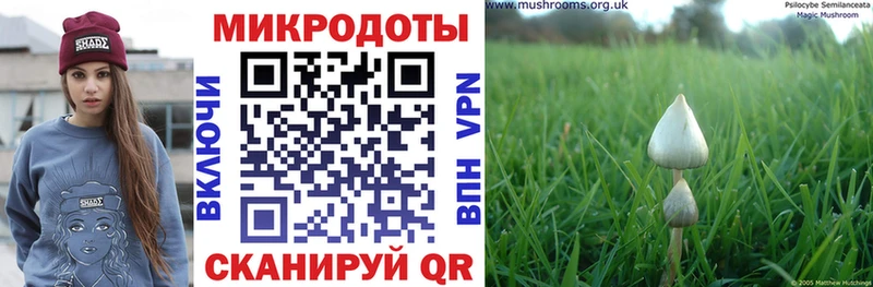 Псилоцибиновые грибы ЛСД  магазин  наркотиков  Обнинск 