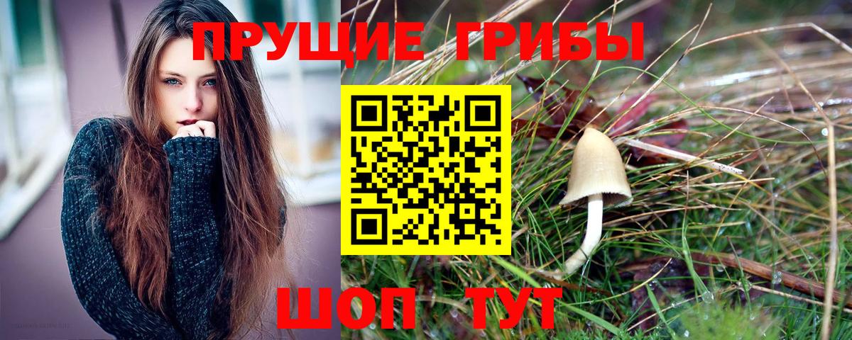 Псилоцибиновые грибы мухоморы  Вход с VPN  Галлюциногенные грибы ЛСД  Обнинск 
