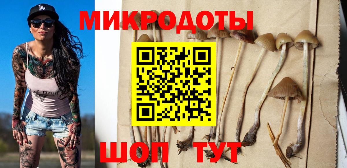 Псилоцибиновые грибы ЛСД Обнинск