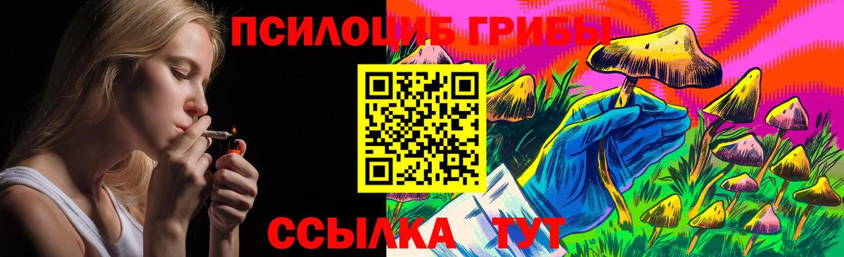 где купить   Обнинск  Псилоцибиновые грибы мухоморы 